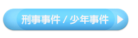 刑事/少年事件